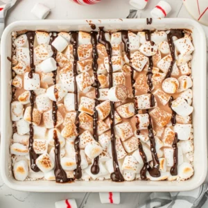 Close-up of Hot Cocoa Cheesecake Bars with marshmallows and chocolate drizzle.